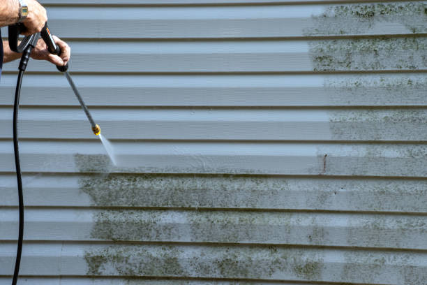 Best Same-Day Junk Removal Services  in Ptland, OR